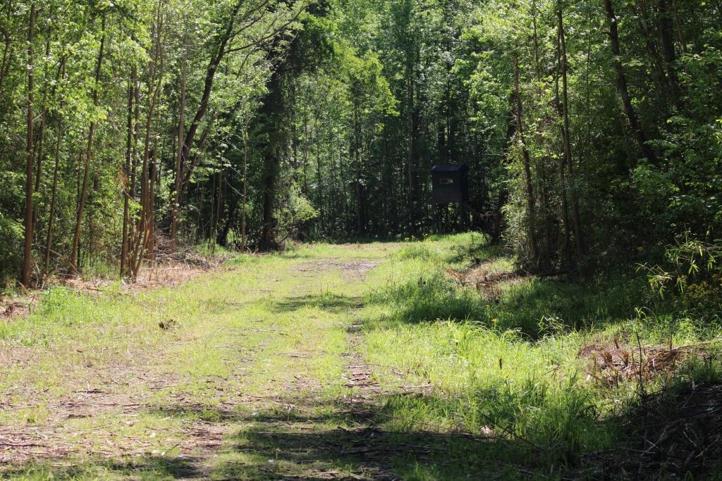 Pender County North Carolina Land for Sale