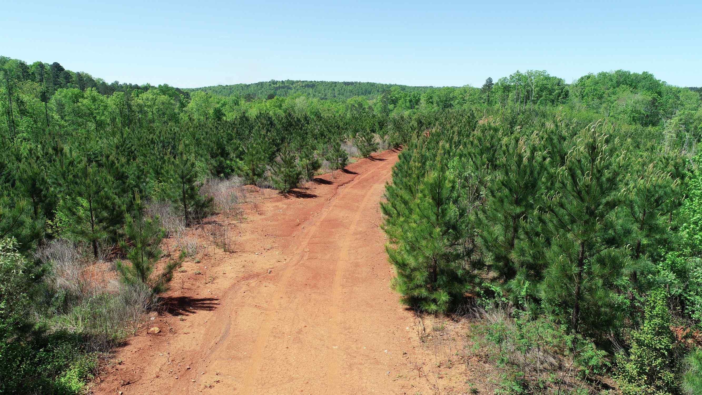 Edgecombe County North Carolina Land for Sale