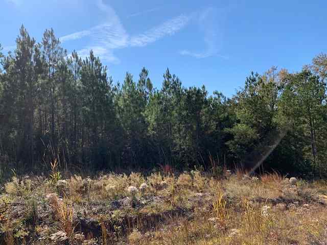 Fairfield County South Carolina Land for Sale