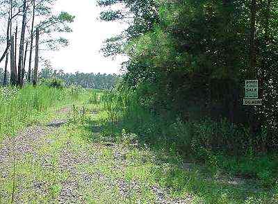 Bladen County North Carolina Land for Sale