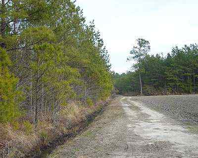 Robeson County North Carolina Land for Sale