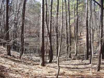 Richland County South Carolina Land for Sale