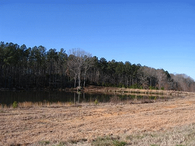 Greene County Georgia Land for Sale