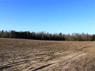 Clarendon County South Carolina Land for Sale