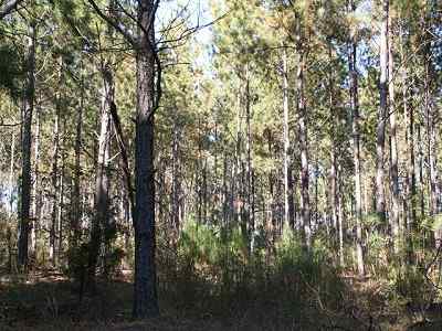 Franklin County Georgia Land for Sale