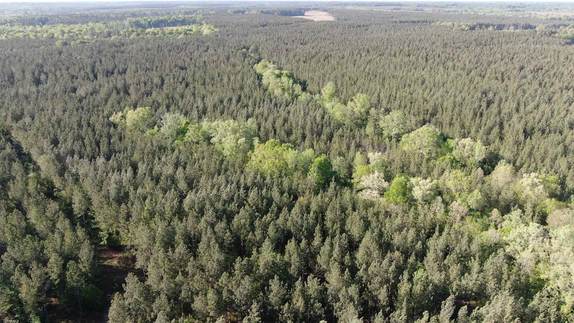Greenwood County South Carolina Land for Sale