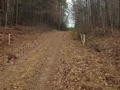Greensville County Virginia Land for Sale