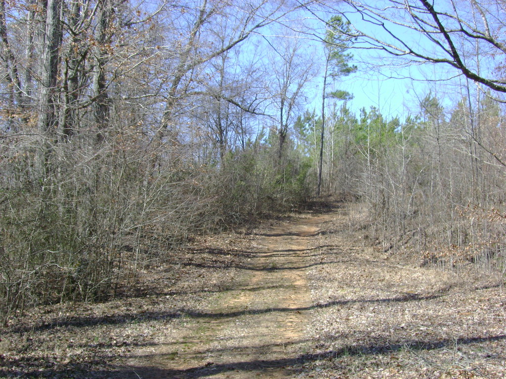 Tippah County Mississippi Land for Sale