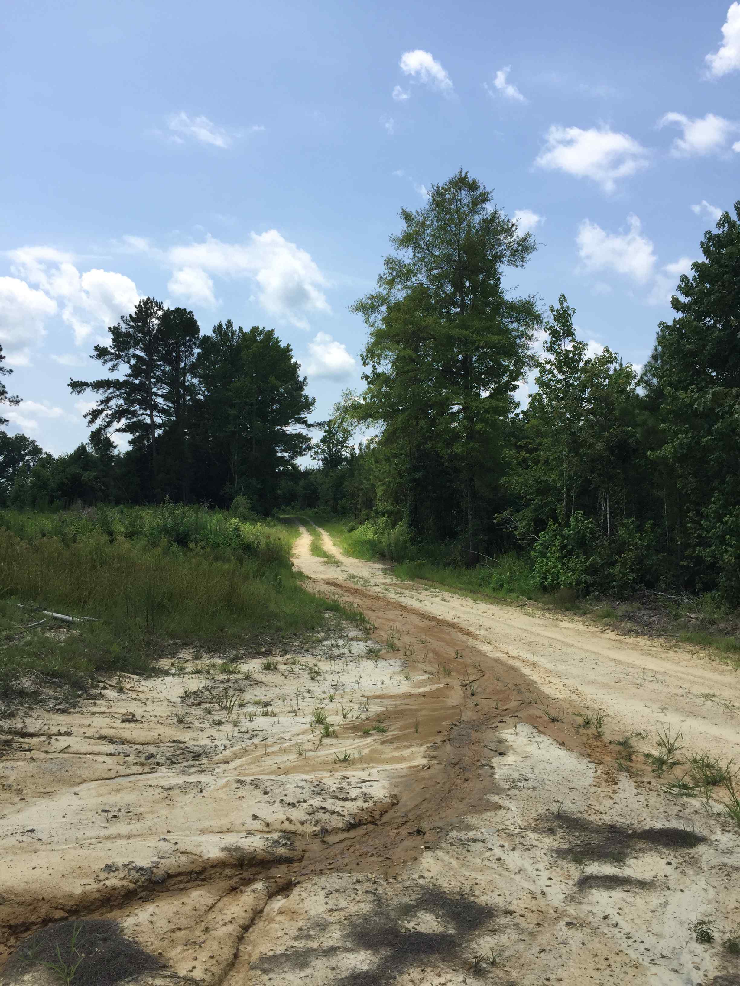 Northampton County North Carolina Land for Sale