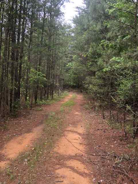Winston County Alabama Land for Sale