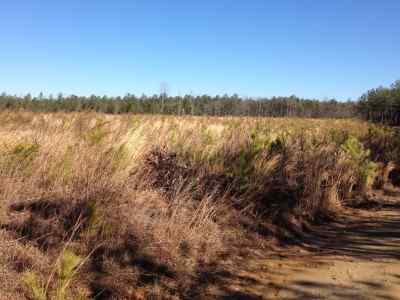 Halifax County North Carolina Land for Sale